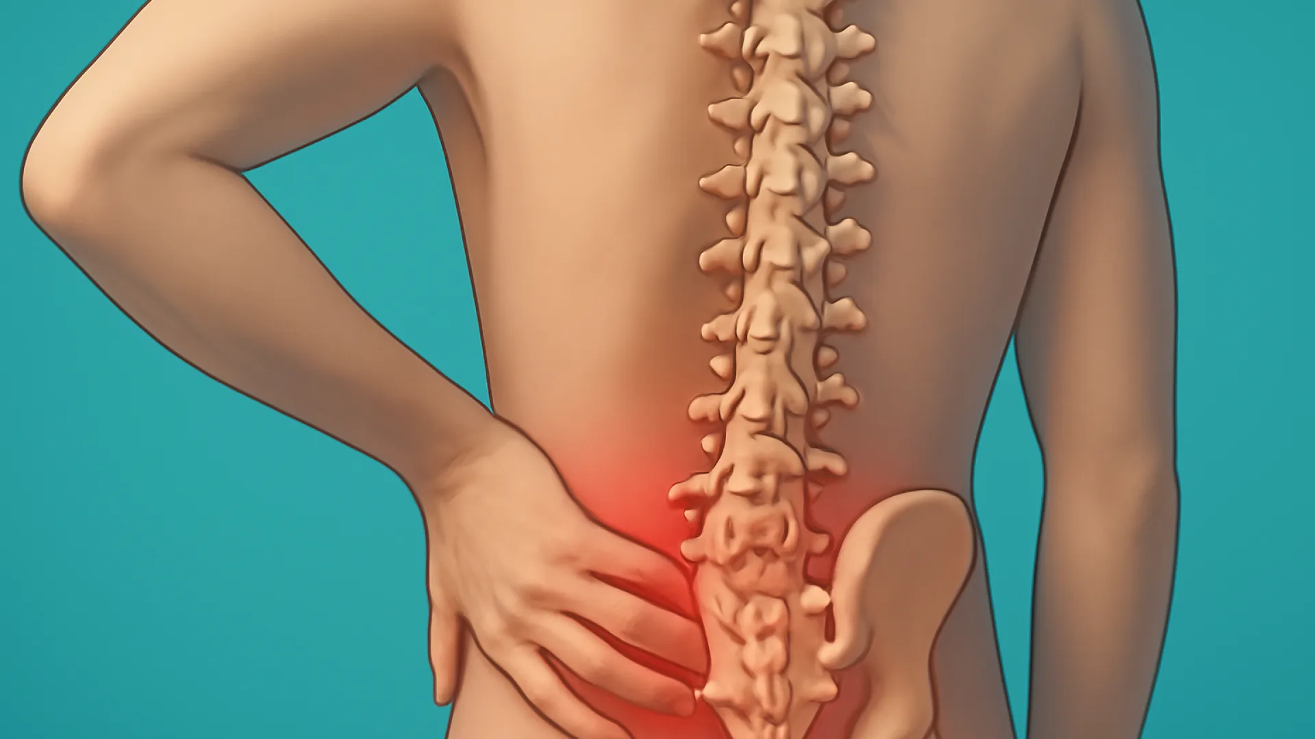 SLE / Spondyloarthropathy