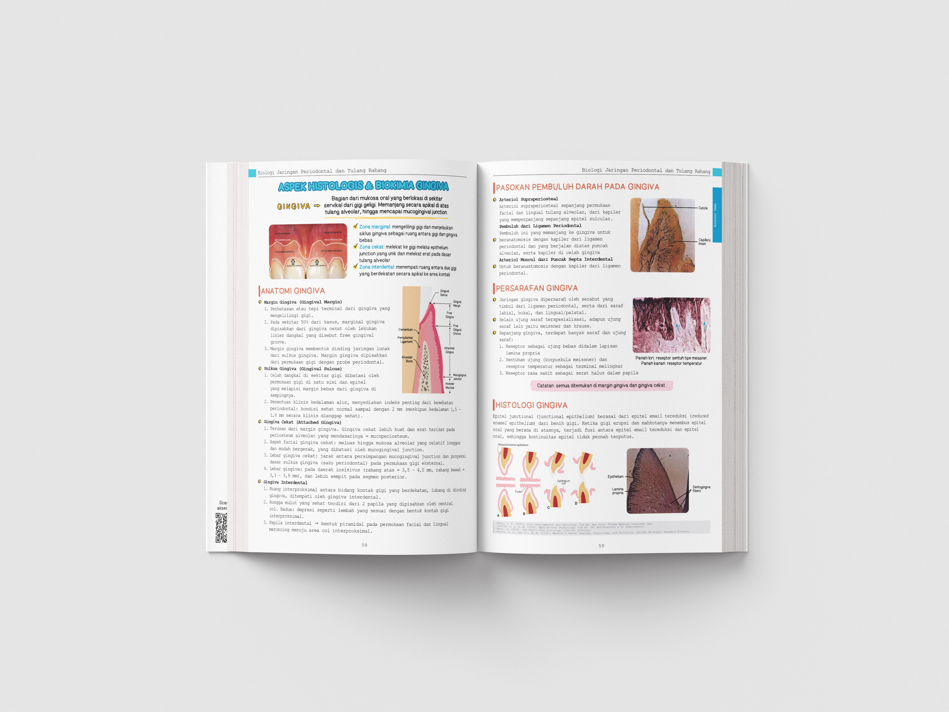 Eleven Incident Plus VOL.2 : Foundation & Preventive Dentistry - Gambar 6